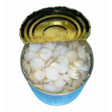 Best Quality Canned Water Chestnuts